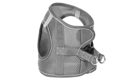 Reflektierende Katzengeschirrweste