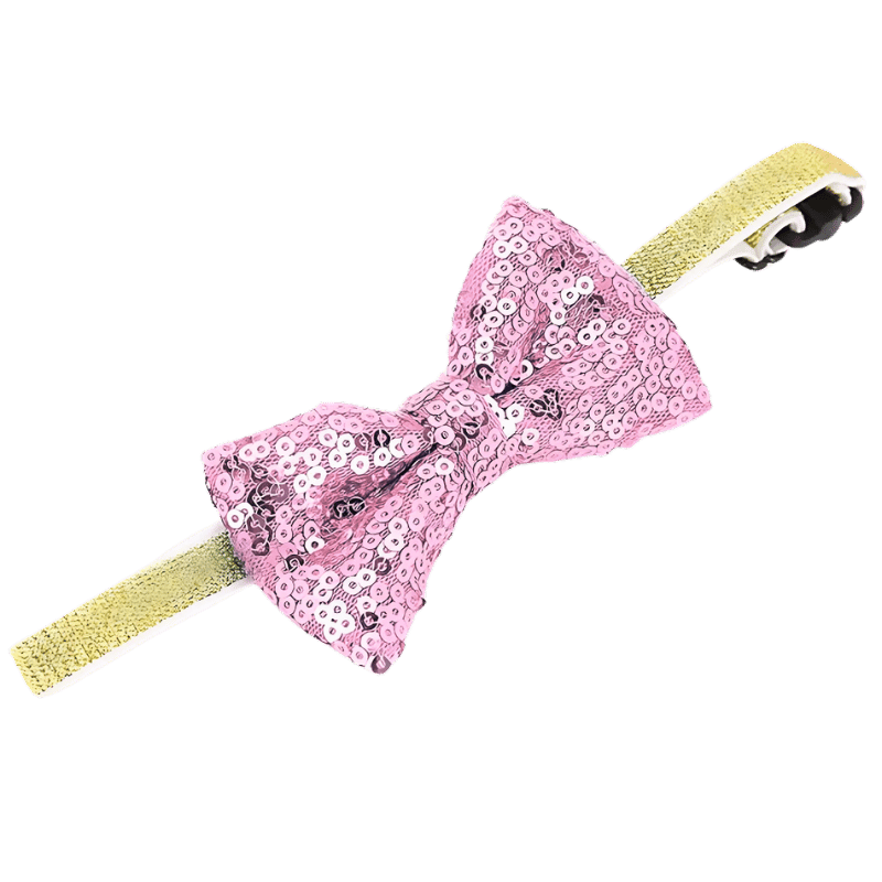 Glitzerndes Party Fliegenhalsband für Katzen & kleine Hunde Glitzerndes Party Fliegenhalsband für Katzen & kleine Hunde