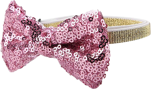 Glitzerndes Party Fliegenhalsband für Katzen & kleine Hunde Glitzerndes Party Fliegenhalsband für Katzen & kleine Hunde