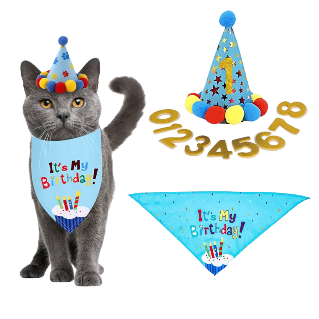 Ensemble d'anniversaire avec Bandana pour Chat Ensemble d'anniversaire avec Bandana pour Chat